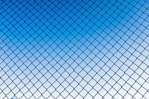 Worauf Sie beim Kauf von Zaeune achten sollten