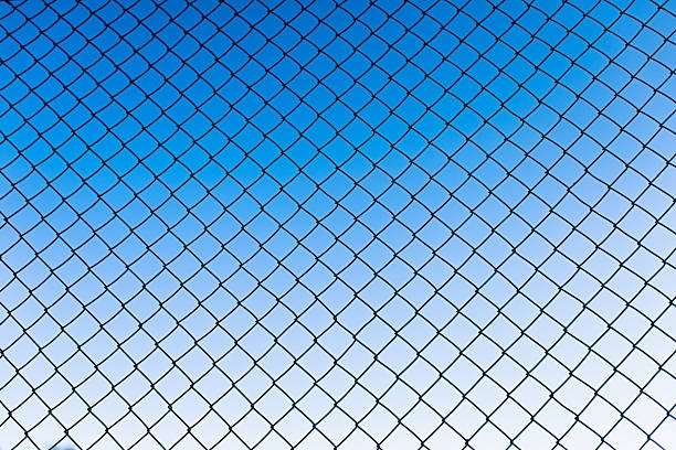 Worauf Sie beim Kauf von Zaeune achten sollten